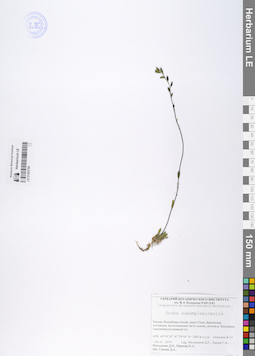 LE 01063766