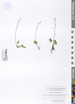 LE 01063770