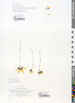 LE 01057720
