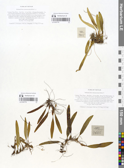 LE 01057778
