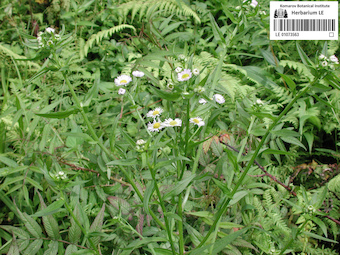 LE 01073563