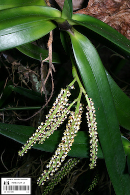 LE 01073097
