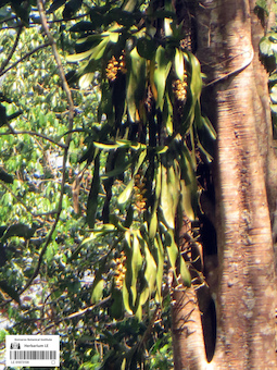 LE 01073159
