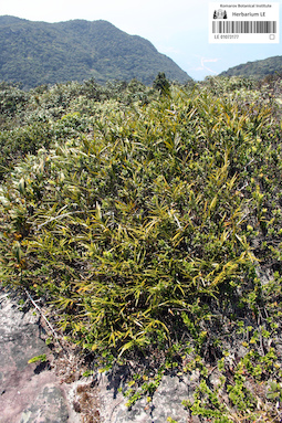 LE 01073177
