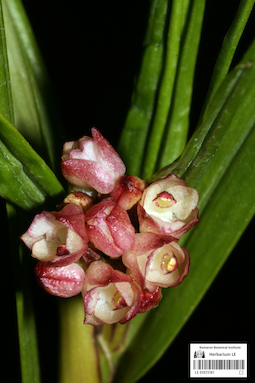 LE 01073181