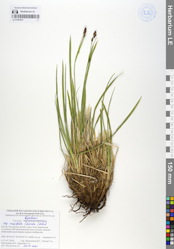 LE 01063974