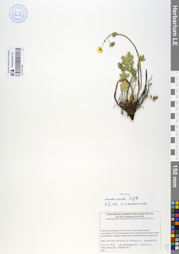 LE 01071583