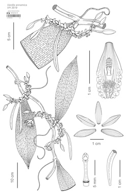 LE 01073210