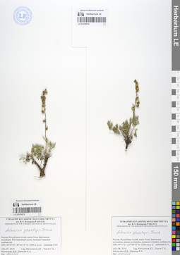 LE 01078018