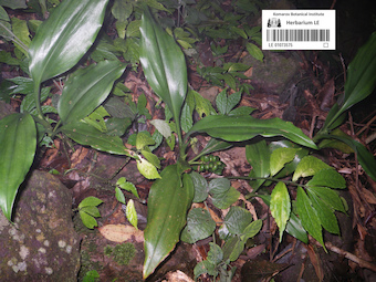 LE 01073575