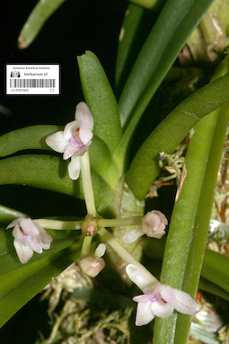LE 01073352