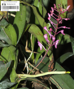 LE 01073366