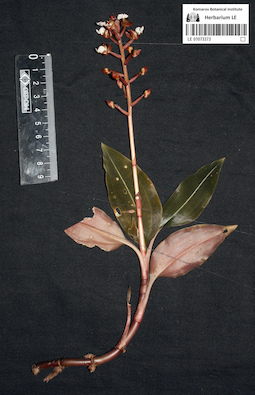 LE 01073373