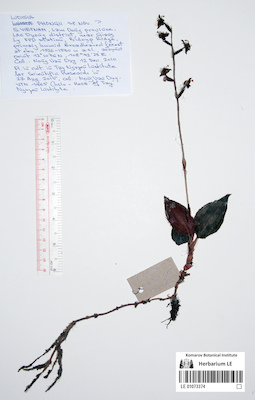 LE 01073374