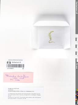 LE 01068471