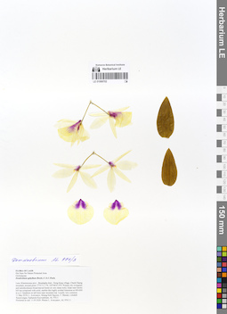 LE 01069702