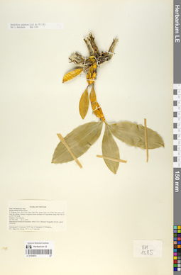 LE 01058812