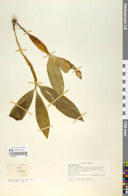 LE 01058815