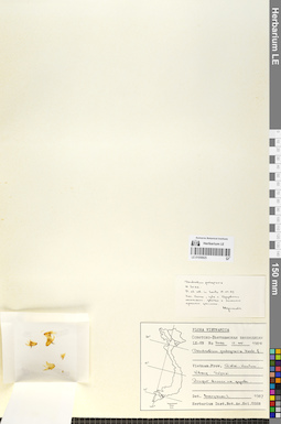 LE 01058825