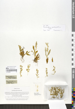 LE 01058833