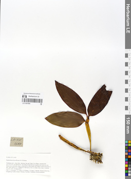 LE 01067684