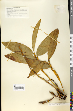 LE 01067690