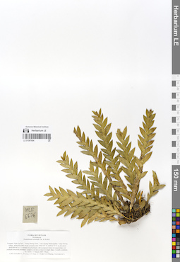 LE 01067694
