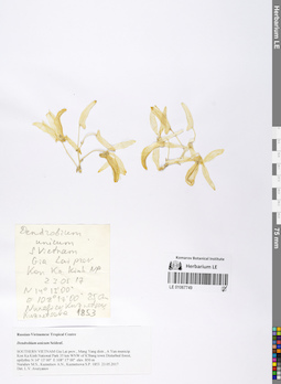LE 01067749