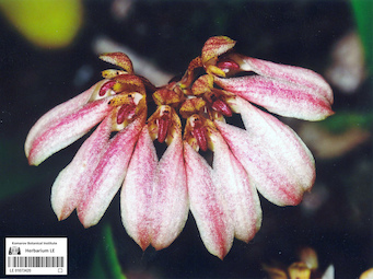 LE 01073420