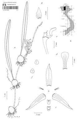 LE 01073436