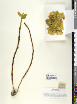 LE 01067761