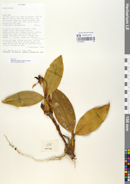 LE 01067805