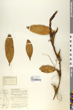 LE 01067811