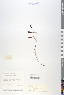 LE 01067834