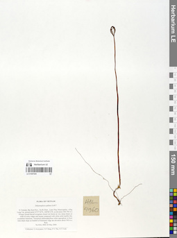 LE 01067839