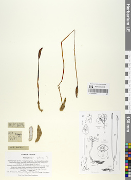 LE 01067840