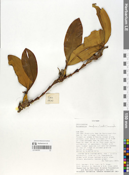 LE 01067870