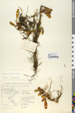 LE 01067905