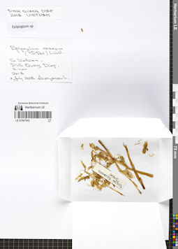 LE 01067942