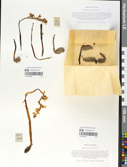 LE 01067972