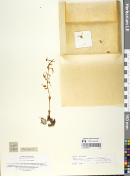 LE 01067976