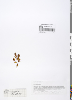 LE 01067998
