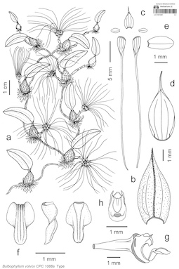 LE 01073481