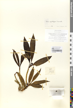 LE 01067988