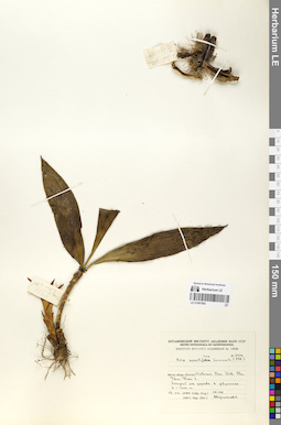 LE 01067992