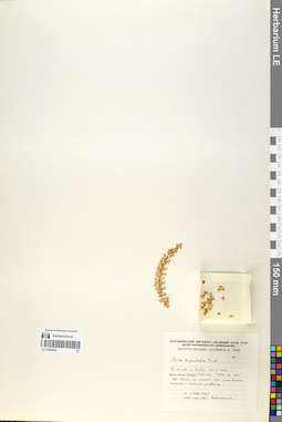 LE 01068030
