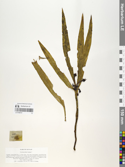LE 01068157