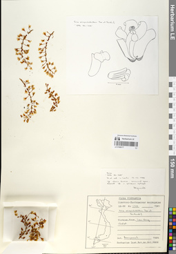 LE 01068177