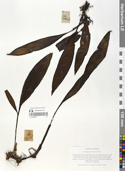 LE 01068516