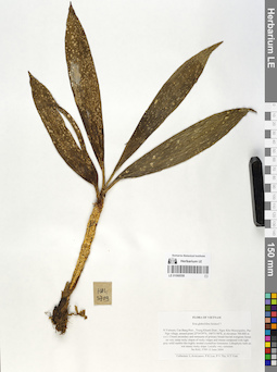 LE 01068558